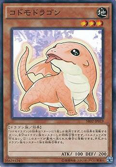 楽天市場】コドモドラゴン ゆめの通販