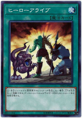 ͷ����OCG �ǥ奨���󥹥����� �ҡ��������饤�� DP23 DP23-JP022 ����š�