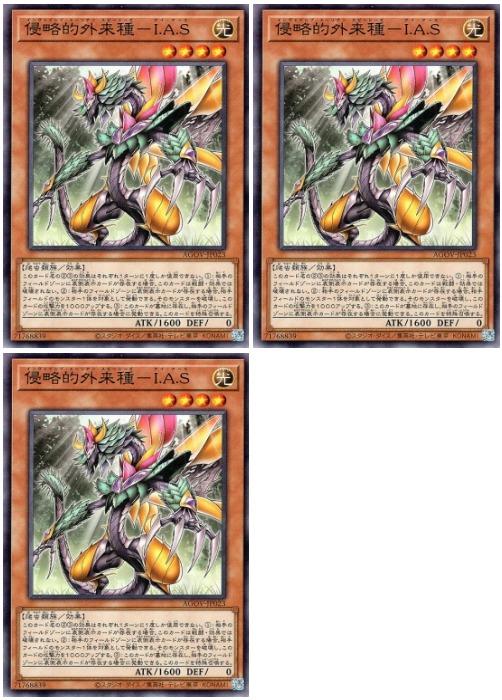 ͷ����OCG �ǥ奨���󥹥����� ��άŪ�����-I.A.S AGOV AGOV-JP023 3�祻�å� ����š�