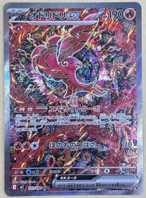 楽天市場】オドリドリ SARの通販
