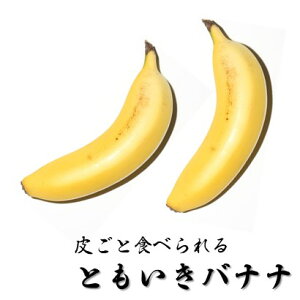 【高級バナナ】ちょっと贅沢で甘くて美味しいバナナのおすすめは？