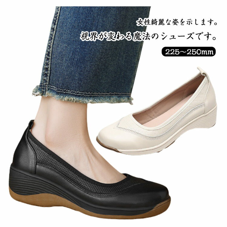 【先着50枚！15％OFFクーポン】疲れ