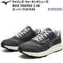 人気 ミズノ (B1GF2500) ウイメンズ ウォーキングシューズ ウエーブフリーライド2 SW WAVE FREERIDE 2 SW (B)