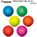 ハタチ (BH3001) グラウンドゴルフ カラーボール (Z)