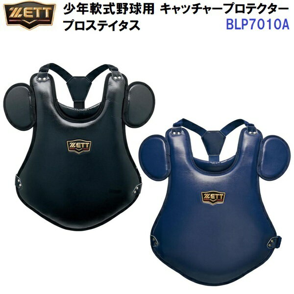 å (BLP7010A) ǯ å㡼ץƥ ץƥ (M)