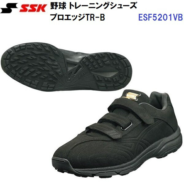  (ESF5201VB)  ȥ졼˥󥰥塼 ץå TR-B (M)