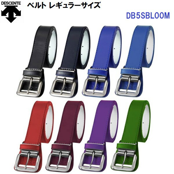 ǥ (DB5SBL00M)  ٥ 쥮顼 ⹻б (M)