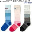 セール 24-25 フェニックス (ESG24SO91) PHグラデーションジュニアスキーソックス (B)