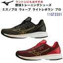 ミズノ (11GT2201) 野球 トレーニングシューズ ウェーブ ライトレボラン プロ (M)