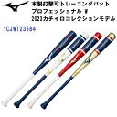 セール ミズノ (1CJWT235) 木製 打撃可 トレーニングバット プロフェッショナル W (B)(4)