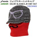セール 23-24 フェニックス (ESB23HW83) COLOR GLASSES JR KNIT HAT (B)