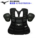 ミズノ (1DJPU240) 野球 審判用品 インサイドプロテクター 軟式用 ブラック (M)