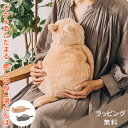 【ラッピング無料】蓄熱式 ねこ湯たんぽ LCAWA004【あ