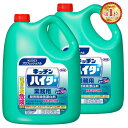 【2個セット】キッチンハイター 業務用 5kg 漂白剤 キッチン用 キッチン 5kg 業務用 洗剤 厨房 漂白剤 除菌 消臭 Kao 2本セット プロフェッショナル 塩素系 【D】 new