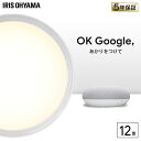 シーリングライト 12畳 おしゃれ 調色 AIスピーカー LED 6.0 CL12DL-6.0AIT+Google Nest Mini デザインフレーム LEDシーリングライト 明かり 灯り 照明 ライト 省エネ 節電 スマートスピーカー GoogleNestMini アイリスオーヤマ[0223SX]