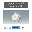 ベースライト ベース照明 led 蛍光灯 led ベースライト 一体型led 一体型蛍光灯 FLR40形 器具一体型 蛍光灯器具 led 高天井LEDランプRZ-R投光器 LDRSP52N-110BS-I送料無料 高天井 工場 倉庫 LED エコ 軽量 省エネ アイリスオーヤマ [2403SO]