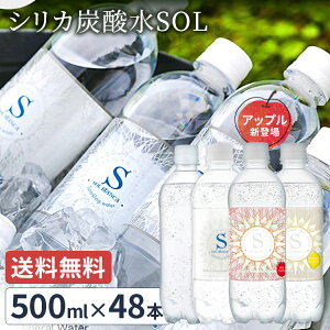 【48本】炭酸水 シリカ 500ml 送料無料 48本 シリカ炭酸水SOL ソール天然水仕込み 500ml シリカ炭酸水 シリカ 天然水シリカ ミネラル炭酸水 SOL 天然水シリカ 九州日田産 ケイ素 【D】【代引き不可】