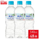 魚沼のおいしい水 540ml×48本 水 みず 名水 美味し...