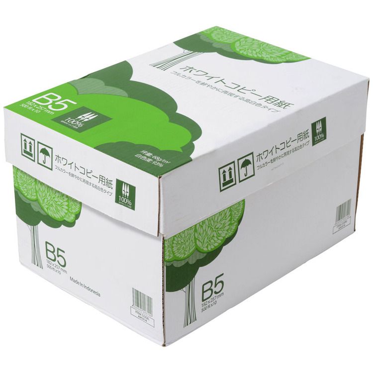 B5 Size Paper - コピー用紙 B5 5000枚 (500枚×10冊) 高白色 無地 PEFC認証 まとめ買い 箱買い 大量印刷 書類 資料 FAX 印刷 OA用紙 印刷用紙 B5コピー用紙 会社 オフィス用品 事務用品 エイピーピー・ジャパン ホワイトコピー用紙 *