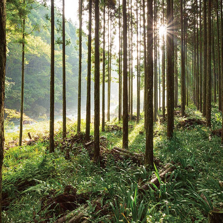 ���Ф� ���Ȥ �ҤΤ� ���ɸ������ɰ��Ȥä���ϽȤ 100�� 67141300���Ф� ���Ȥ �ҤΤ� ��Ȥ ����ҤΤ� ɰ �� ��Ͻ Ȥ 100�� ������ ������ ��ˤʤ��� �����