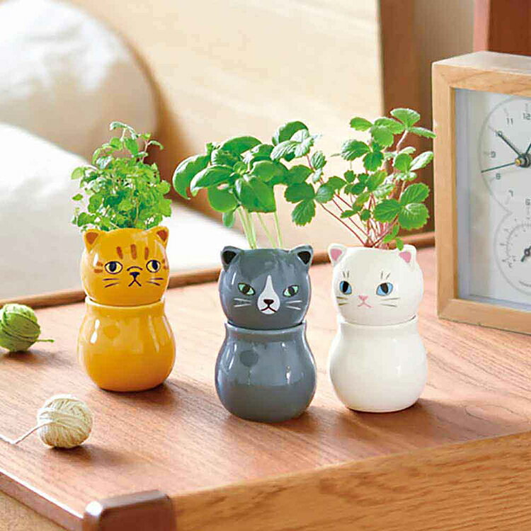《SALE★11%OFF》【3種セット】 栽培キット 室内 ハーブ ミント バジル ワイルドス...