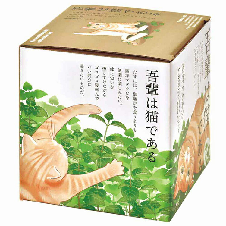 栽培キット 室内 ハーブ キャットニップ 西洋マタタビ 栽培セット 家庭菜園 初心者...