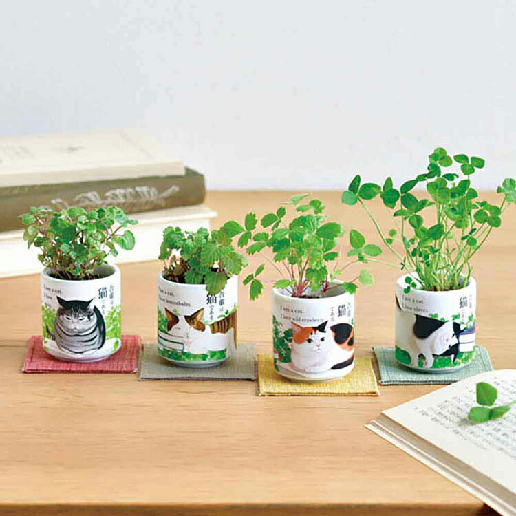 《SALE★25%OFF》【4種セット】 栽培キット 室内 ハーブ ミント レモンバーム ワイ...