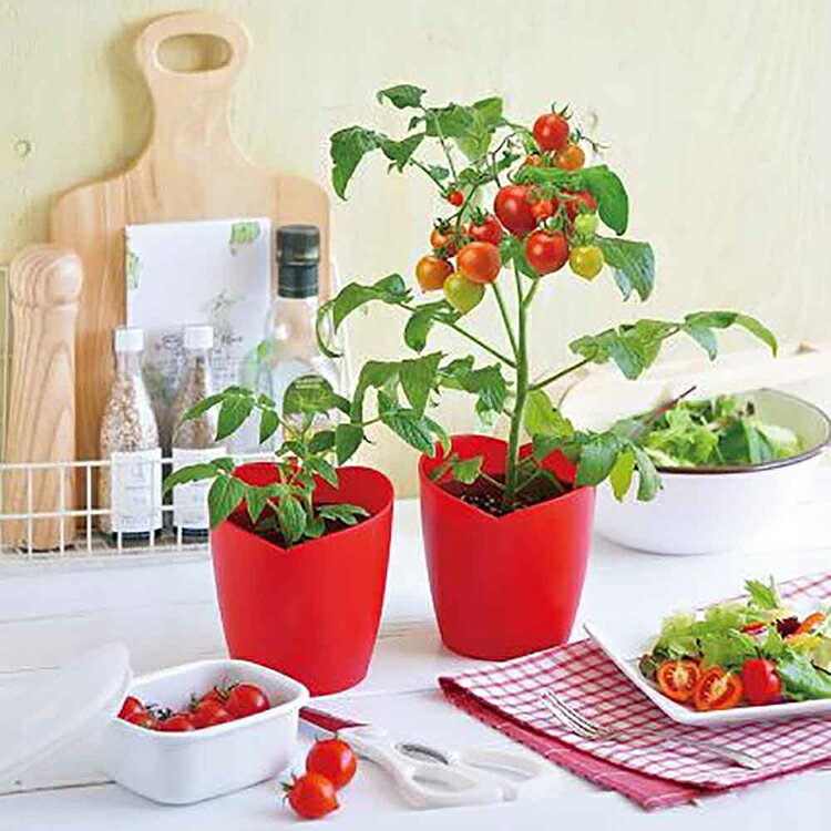 ���ݥ��å� ���� �ߥ˥ȥޥ� �ϡ��ȥ֥졼���� ���ݥ��å� ��ں��ݥ��å� �����ڱ� �鿴�� ���� ���å� �����ڱ७�å� ��� �Ҷ� ��ͳ���� ����ƥꥢ ���� �ץ쥼��� ���ե� ����ƫ�� �ϡ��ȥޥȺ��ݥ��å� GD-1032 *