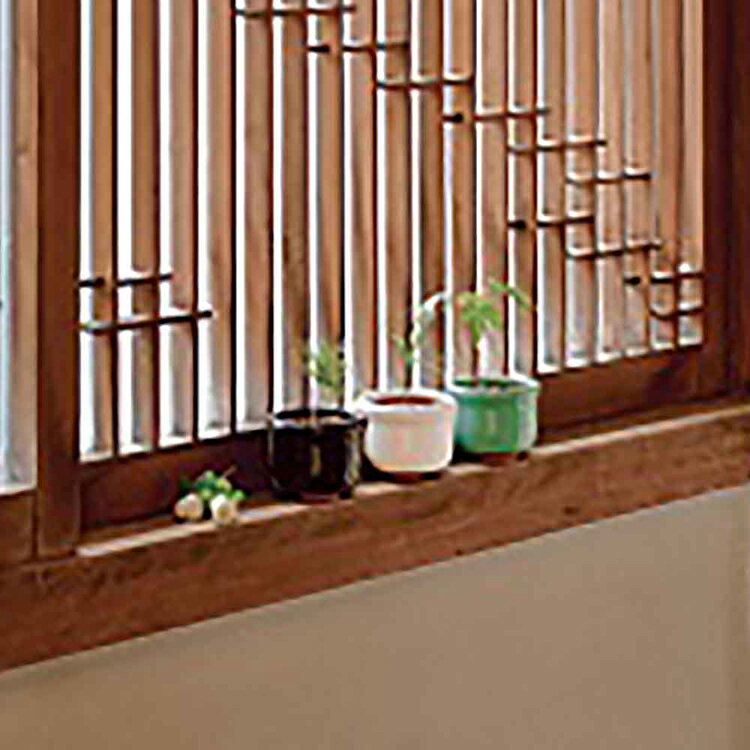 《SALE★52%OFF》【3種セット】 ミニ盆栽 黒松 赤松 五色とうがらし 盆栽 手のひら...