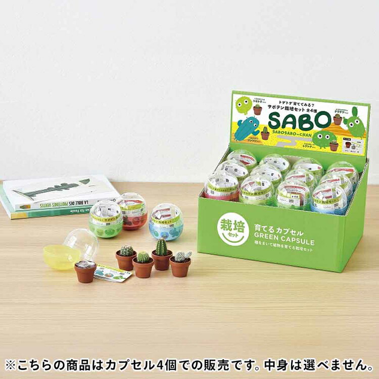 《SALE★57%OFF》【4個セット】 栽培キット サボテン 丸サボテン 柱サボテン うちわ...