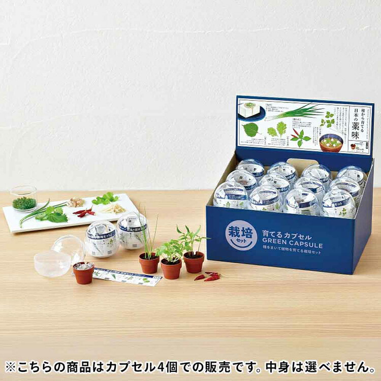 【4個セット】 栽培キット 室内 大葉 三つ葉 鷹の爪 わさび菜 ネギ 栽培セット ランダム カプセル 家庭菜園 青じそ 唐辛子 ねぎ みつば 植物 野菜 ギフト プレゼント インテリア 育てるカプセル 薬味 聖新陶芸 GD-926 *