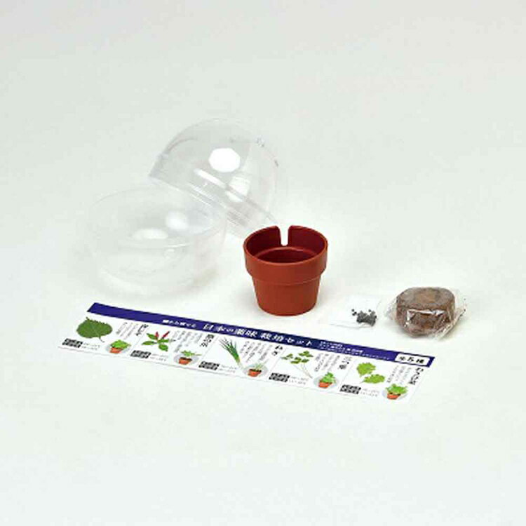 【4個セット】 栽培キット 室内 大葉 三つ葉 鷹の爪 わさび菜 ネギ 栽培セット ランダム カプセル 家庭菜園 青じそ 唐辛子 ねぎ みつば 植物 野菜 ギフト プレゼント インテリア 育てるカプセル 薬味 聖新陶芸 GD-926 *