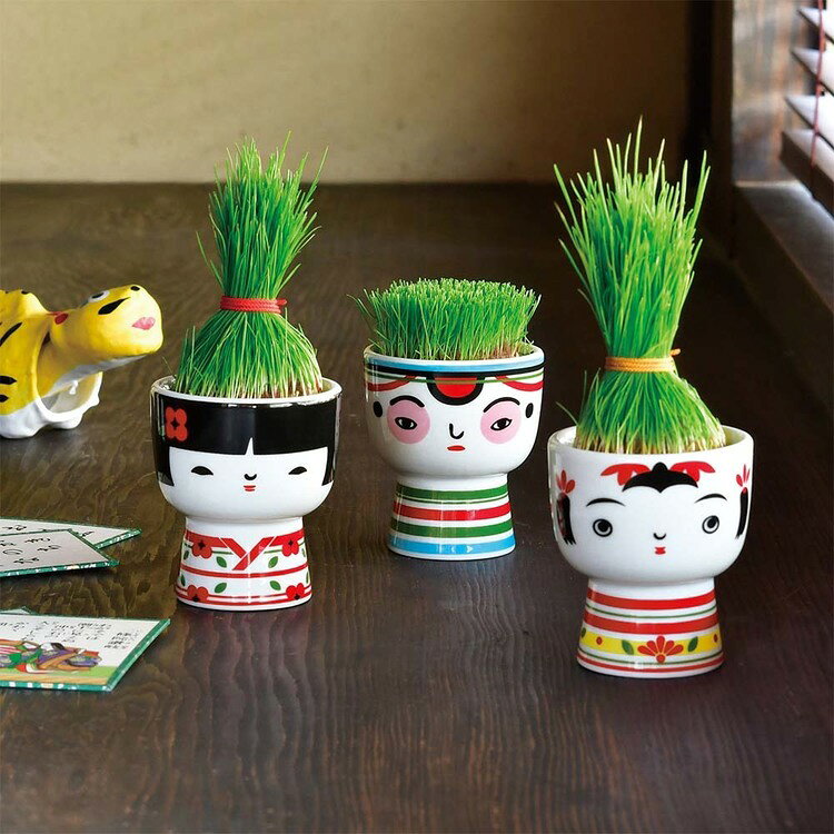 快適空間のお手伝い B&Cの【3種セット】芝って栽培キット KOKESHI 栽培キット 栽培セット 芝 おちょぼ ぼうず おかっぱ 聖新陶芸｜アングル2
