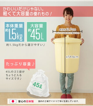 ゴミ箱 45L ソフトペール PE-45L ふた付きゴミ箱 アイリスオーヤマ ごみ箱 丸型 ダストボックス 蓋 フタ おしゃれ ゴミ ごみ おもちゃ箱 収納 かわいい ペール 資源ゴミ 分別 くずかご ボックス おしゃれ シンプル コンパクト 送料無料