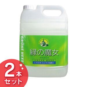 緑の魔女 キッチン 5L 5L×2個 2個セット みどりの魔女 食器用 調理器具 業務用 大容量 送料無料 キッチン 業務用洗剤 キッチン用洗剤 キッチン洗剤 ボトル弱酸性 排水管掃除 パイプクリーナー ミマスクリーンケア 【D】