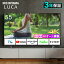 Android4Kチューナー内蔵液晶テレビ 55V型 55XDA20 ブラック送料無料 テレビ TV 液晶テレビ 4K 55V型 チューナー内蔵 Wチューナー 地デジ BS CS 簡単操作 音声検索 AIオート機能 高画質 高音質 アイリスオーヤマ[SO]