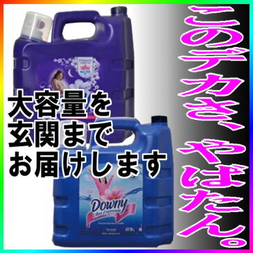 柔軟剤 ダウニー 8.5L 送料無料 メキシコダウニー 8.5L アロマフローラルの香り シルベスタ 柔軟剤 液体柔軟剤 ダウニー downy 洗濯 部屋干し 大容量 ファミリー 家族 衣類 臭い【送料無料】【O】