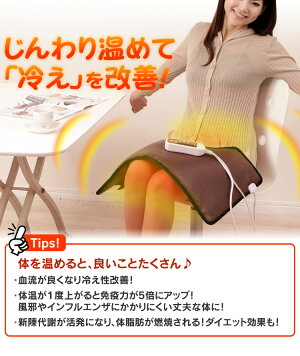 【送料無料】【温熱治療器】ぽっかぽか58217【あたためリラックスあったかリラクゼーション腰痛肩こり肩腰脚部腹部安らぎマッサージコントローラー家庭用】【D】【クロシオ】【RCP】