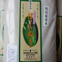 令和5年産産新米　山形県鶴岡産特別栽培米　はえぬき　白米10