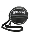 バスケットボールバッグ1球入れ SPADLING製 BALL