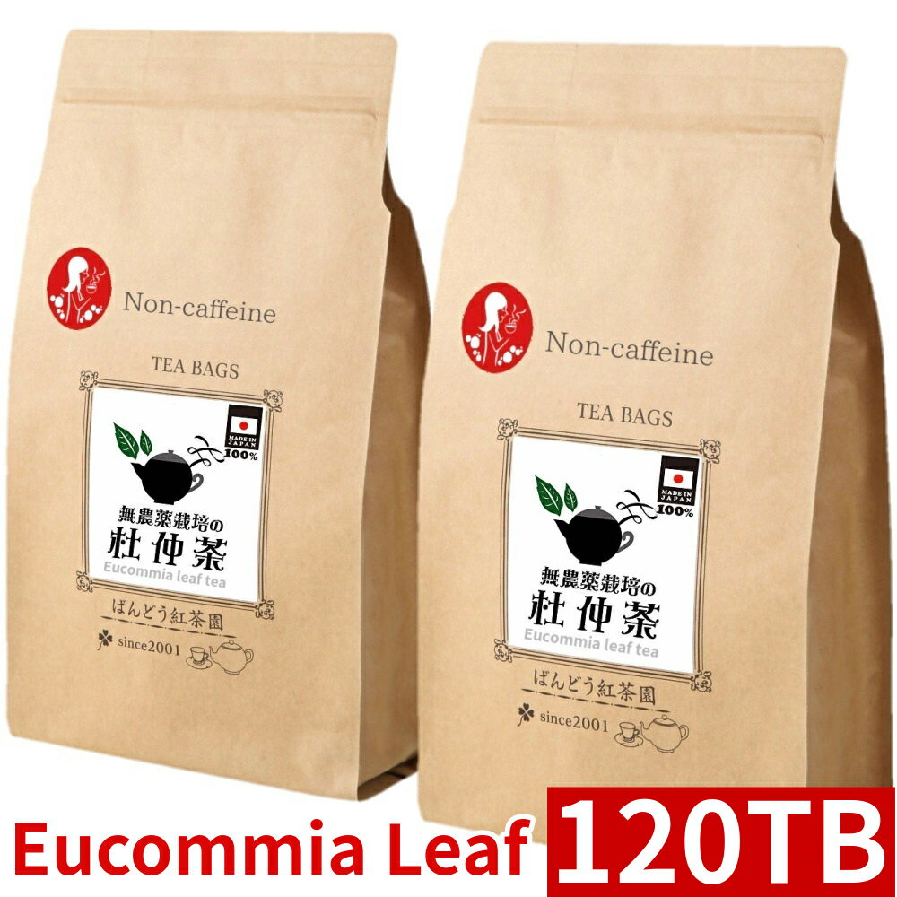 無農薬栽培 杜仲茶 120ティーバッグ 国産100％ ノンカフェイン 無添加・無糖・無香料のサムネイル