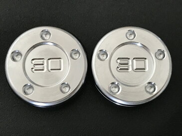 スコッティキャメロン scotty cameron パターウェイト 30g×2個