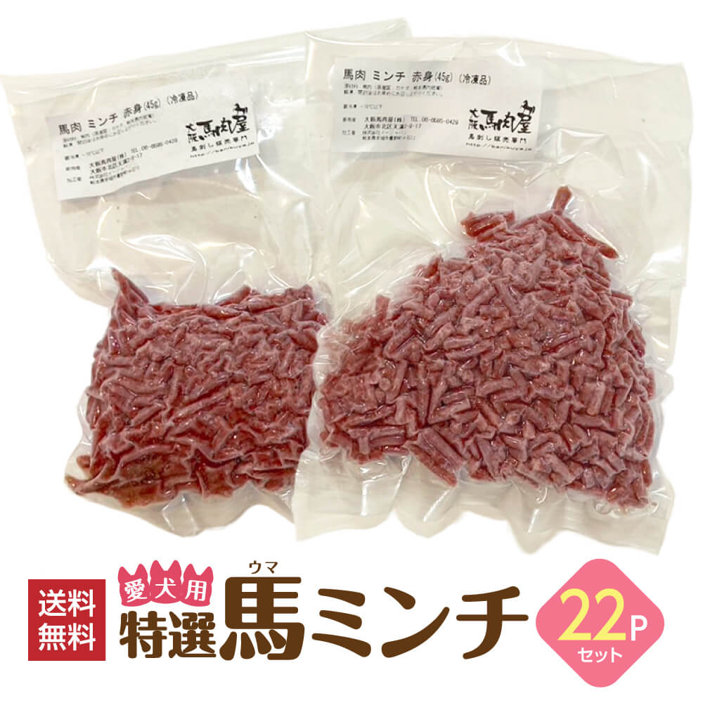 【2点以上で10％OFFクーポン】【おまとめ買い】特選 馬ミンチ 990g（45g×22パック） 愛犬 犬 ミンチ 馬..