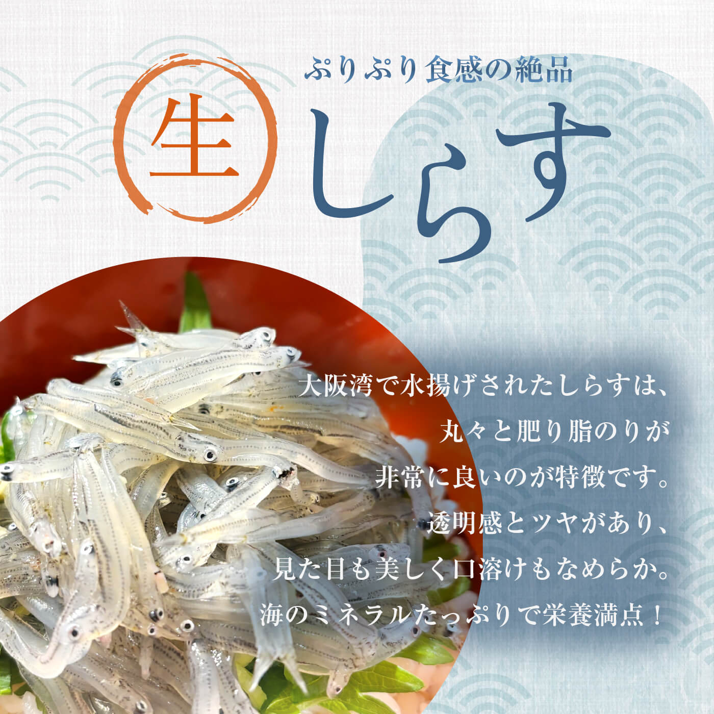 【最大2,000円OFFクーポン★20日20:00 ～ 26日1:59】生しらす 冷凍 大阪 1パック80g...