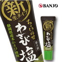 【万城食品 わさび塩30g（1本）】静岡県産本わさび使用　山葵　チューブ　BANJO