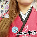 2way半衿 半襟 学祭 文化祭 着物 kimono きもの おしゃれ 着付け小物 和装小物 ハーリキン チェック ダイヤ 個性 ポップ 古典 レトロ 大正 ロマン 映え コスプレ 仮装 ギフト プレゼント 贈り物