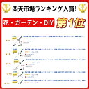 bankers:10000221のサンプル画像2