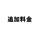追加料金専用ページ