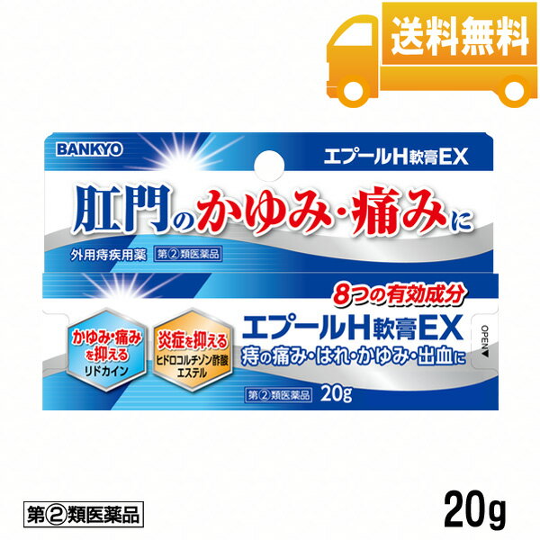 エプールH軟膏EX バンキョードラッグ 痔薬 痔の薬 いぼ 痔 に 効く 市販 薬 切れ痔 いぼ痔 きれ痔の痛み さけ痔の痛み いぼ痔の痛み イボ痔 軟膏 塗り薬 肛門 痛み かゆみ 肛門のかゆみ 肛門の痛み かゆみ 出血の緩和 消毒 送料無料 万協製薬