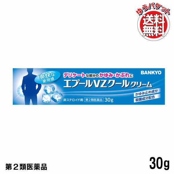 エプールVZクール デリケートゾーン 痒み かゆみ クリーム デリケート 股間 痒い 薬 皮膚 男性用 メンズ かゆみ止め薬 湿疹 かぶれ あせも 汗疹 かゆみ止め デリケートクリーム 皮膚の薬 しっしん・かゆみの薬 股間のかゆみ 使用期限：2027年4月